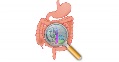 400x209 Gut Microbiome May Be A Game Changer For Cancer Prevention