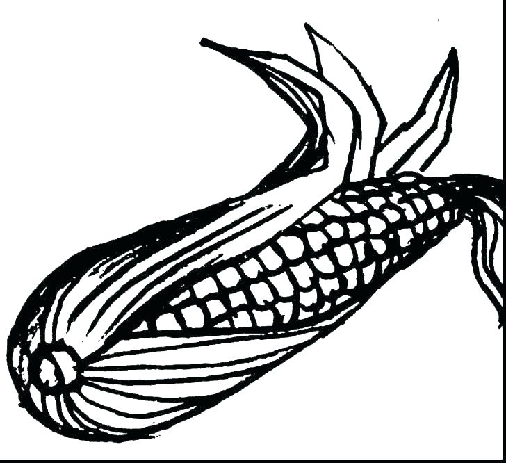 728x666 Corn Coloring