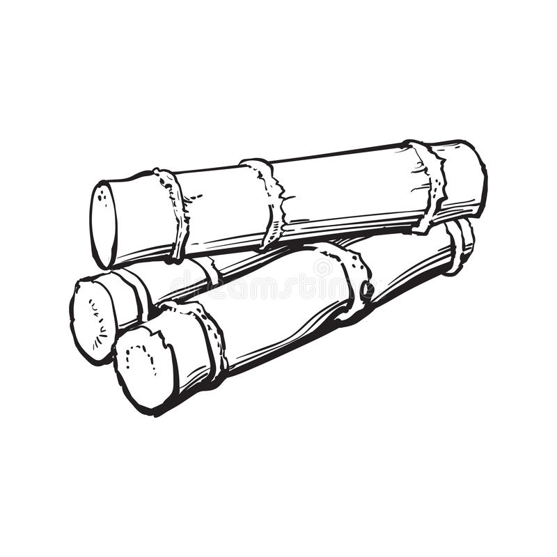 800x800 Cane Clipart Drawn Frames Illustrations Hd Images Photo