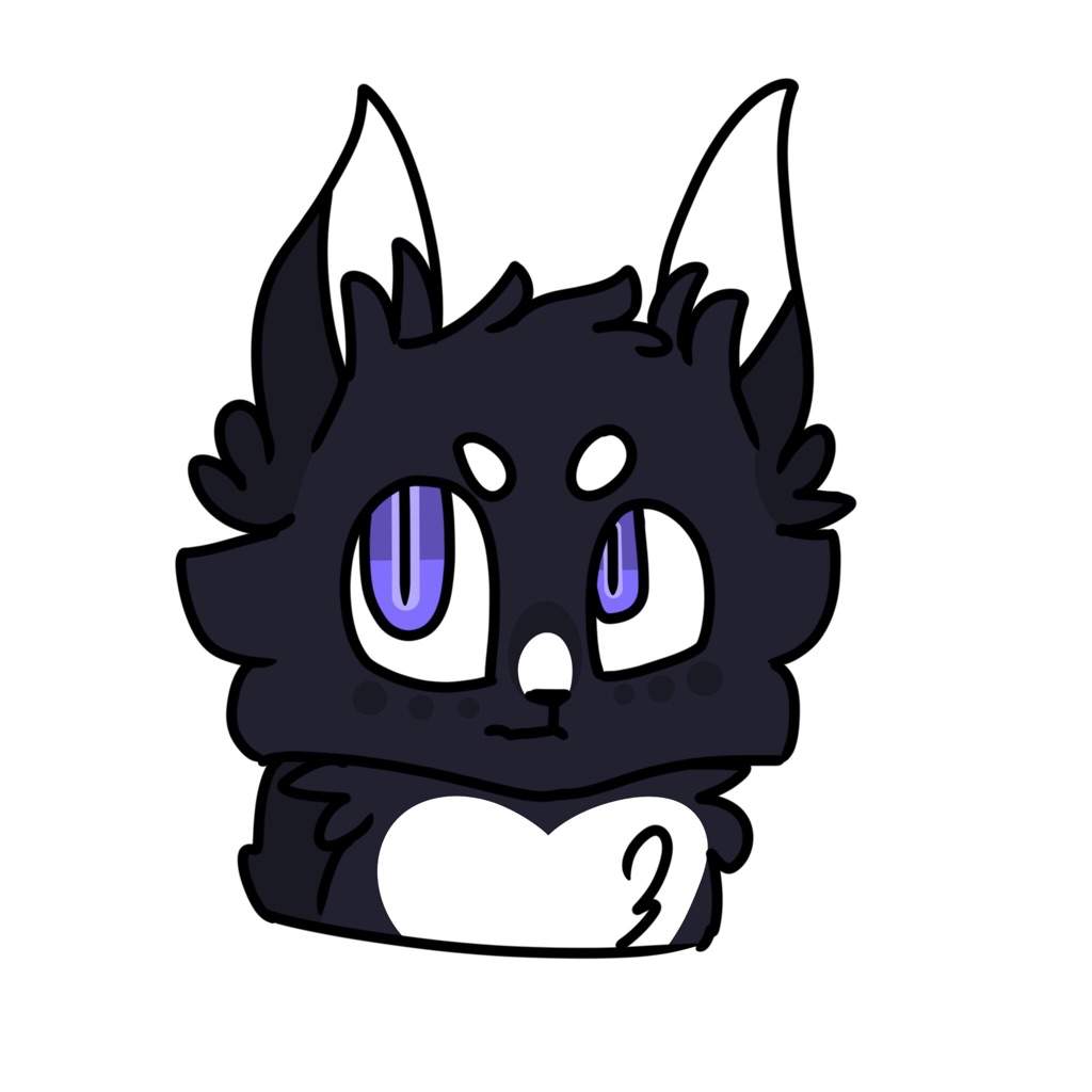 1024x1024 ravenpaw canon requests warriors amino