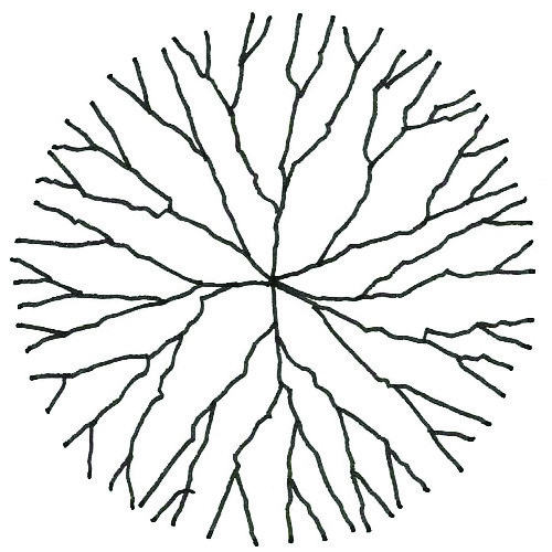 500x500 drawing vegetation hand drawn branch trees in plan archilibs