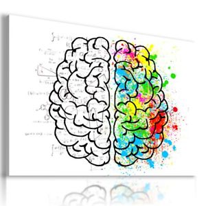 300x300 Drawing Brain Body Print Canvas Wall Art Picture Mataga Ebay