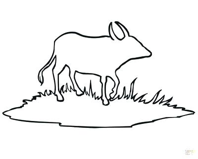 400x322 Buffalo Coloring
