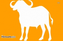 209x136 Cape Buffalo Silhouette Silhouette Pics