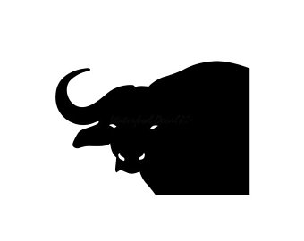 340x270 Cape Buffalo Etsy