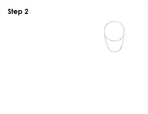 500x386 How To Draw An African Cape Buffalo