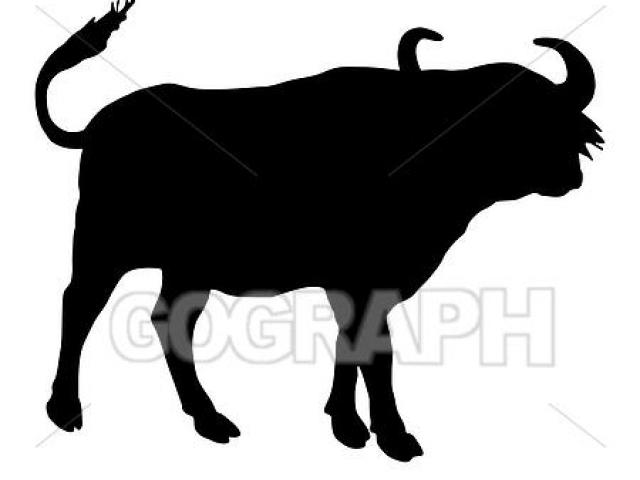 640x480 African Buffalo Clipart