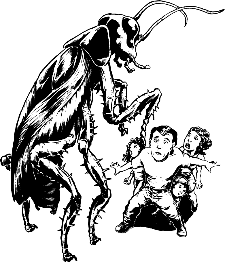 781x906 Collection Of Free Cockroach Drawing Captain Download On Ui Ex