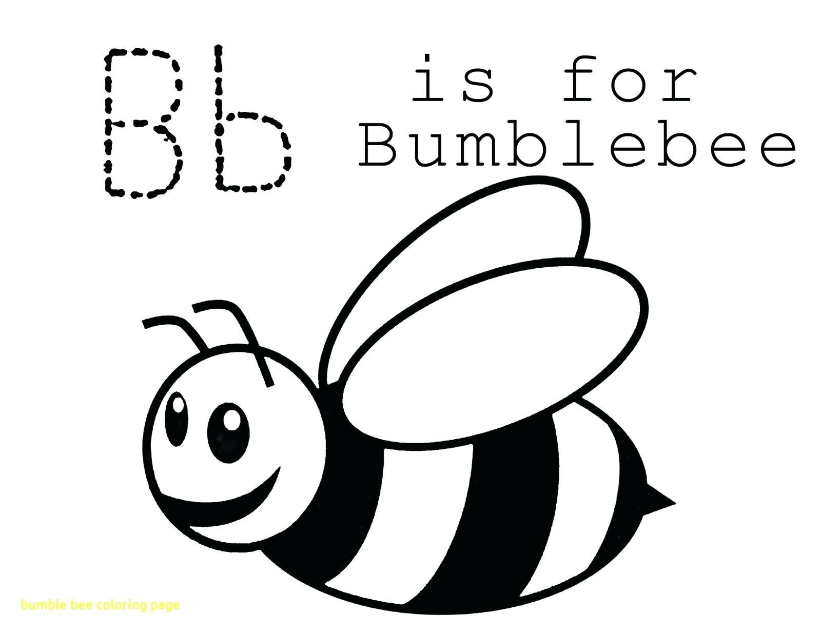 1600x1236 Bumblebee Car Drawing Bumble Bee Template Pictures Designs Full