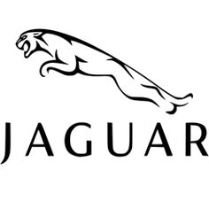 236x236 Best Jaguar Logo Images In Fluid Ounce, Jaguar, Sports Logos