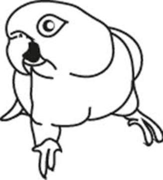 327x360 Car Window Decal Phoenix Landing's Helping Parrots