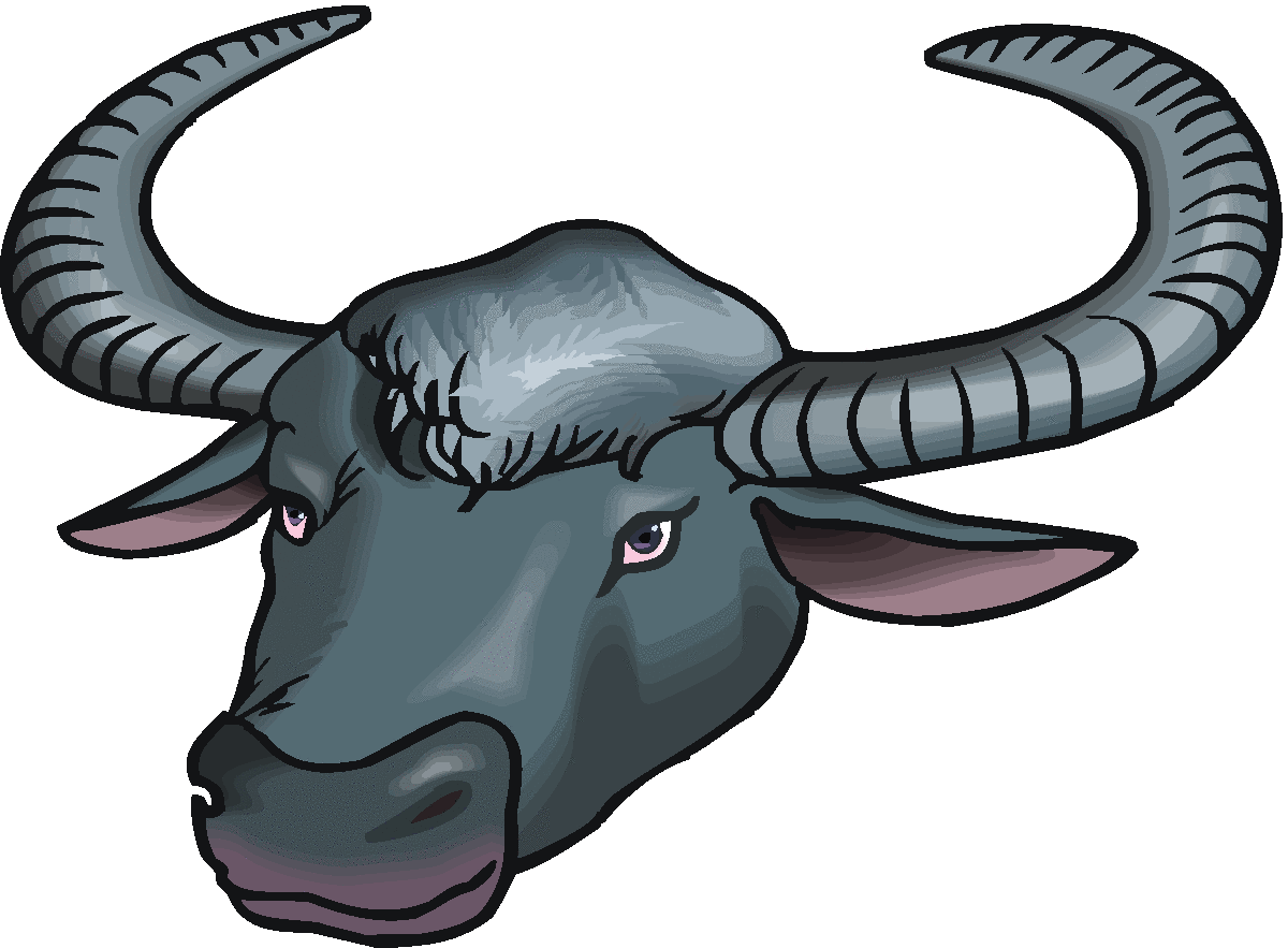 1200x883 carabao head clipart