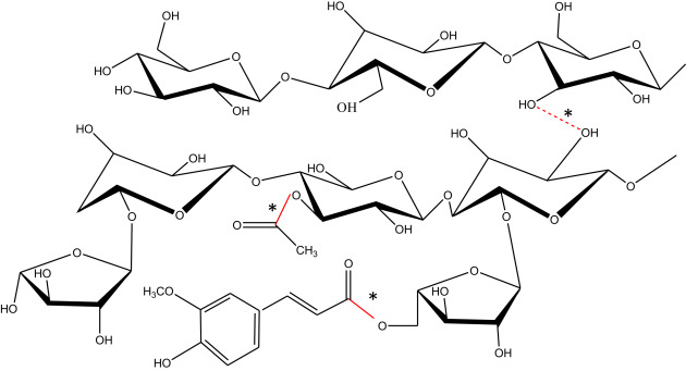 630x341 Carbohydrate