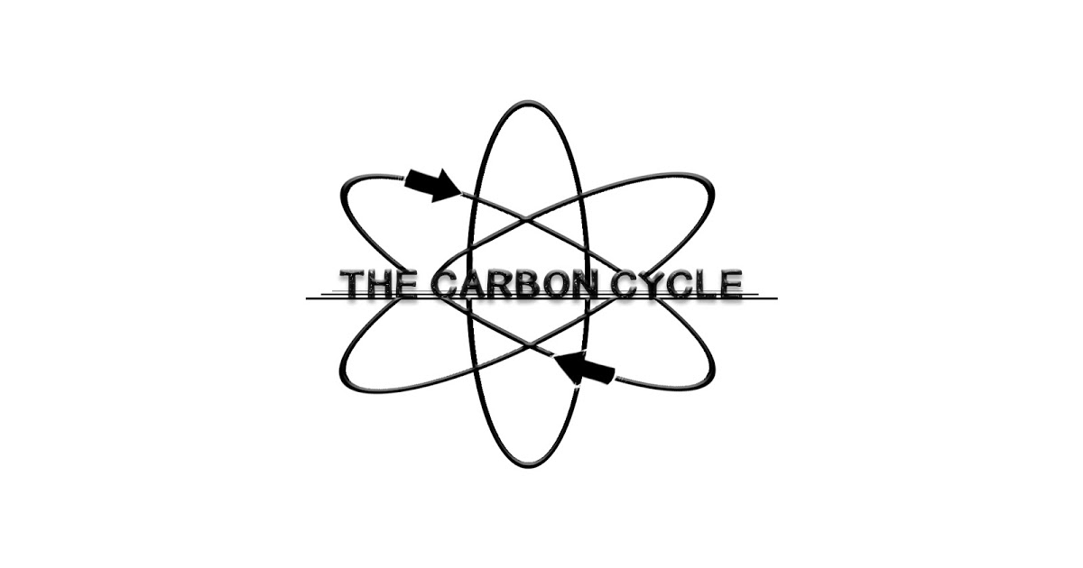 1200x630 Carbon Cycle Story Board