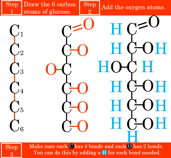 650x600 draw the structure of a glucose molecule