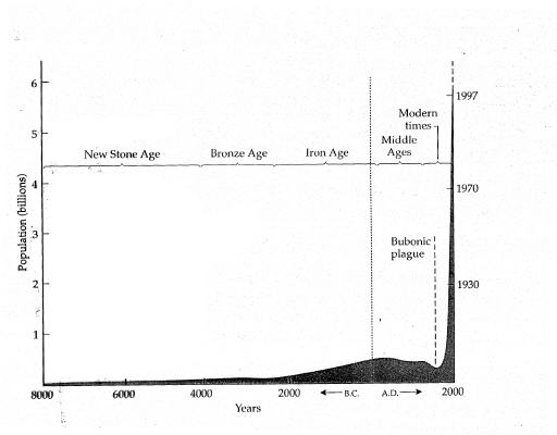 512x400 Global Carbon Cycle