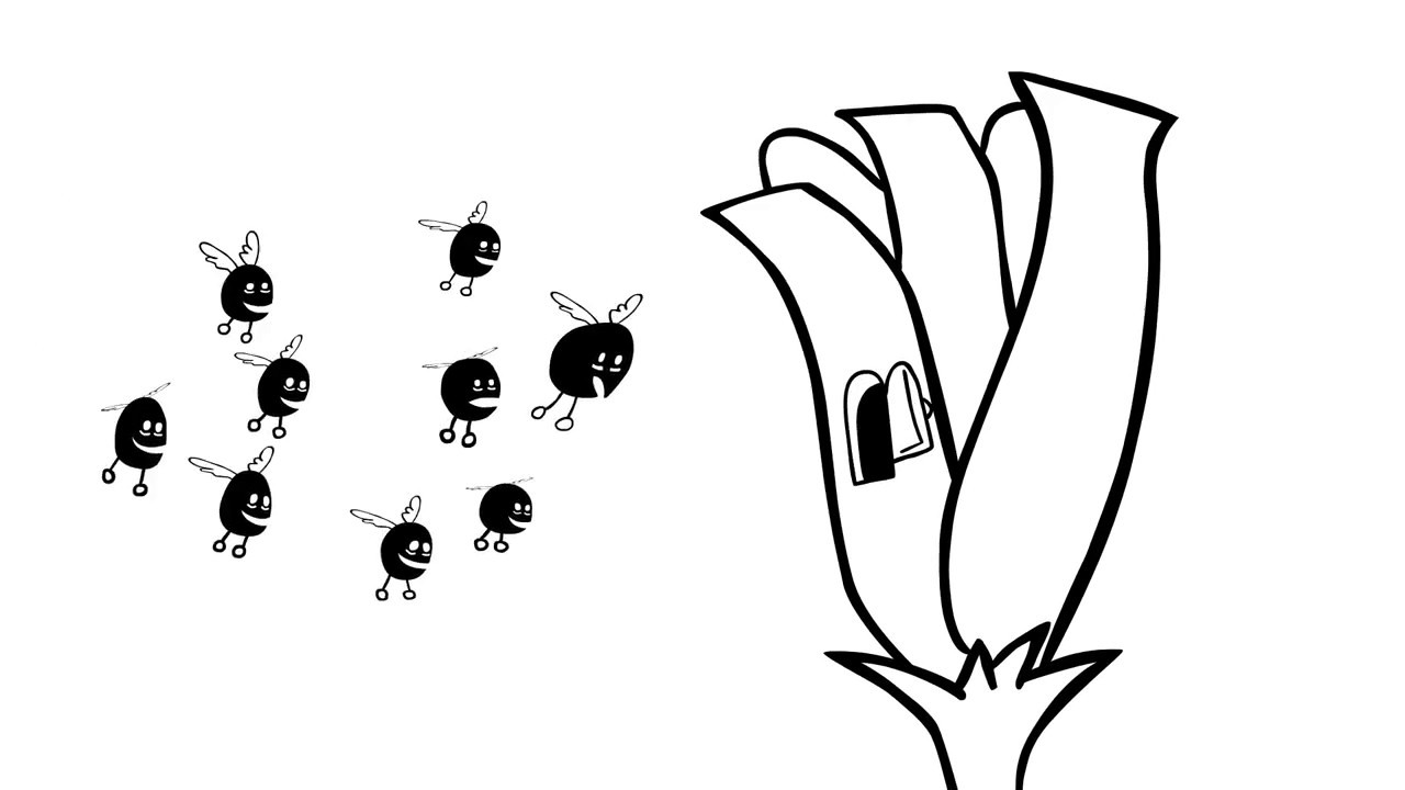 1280x720 The Carbon Cycle