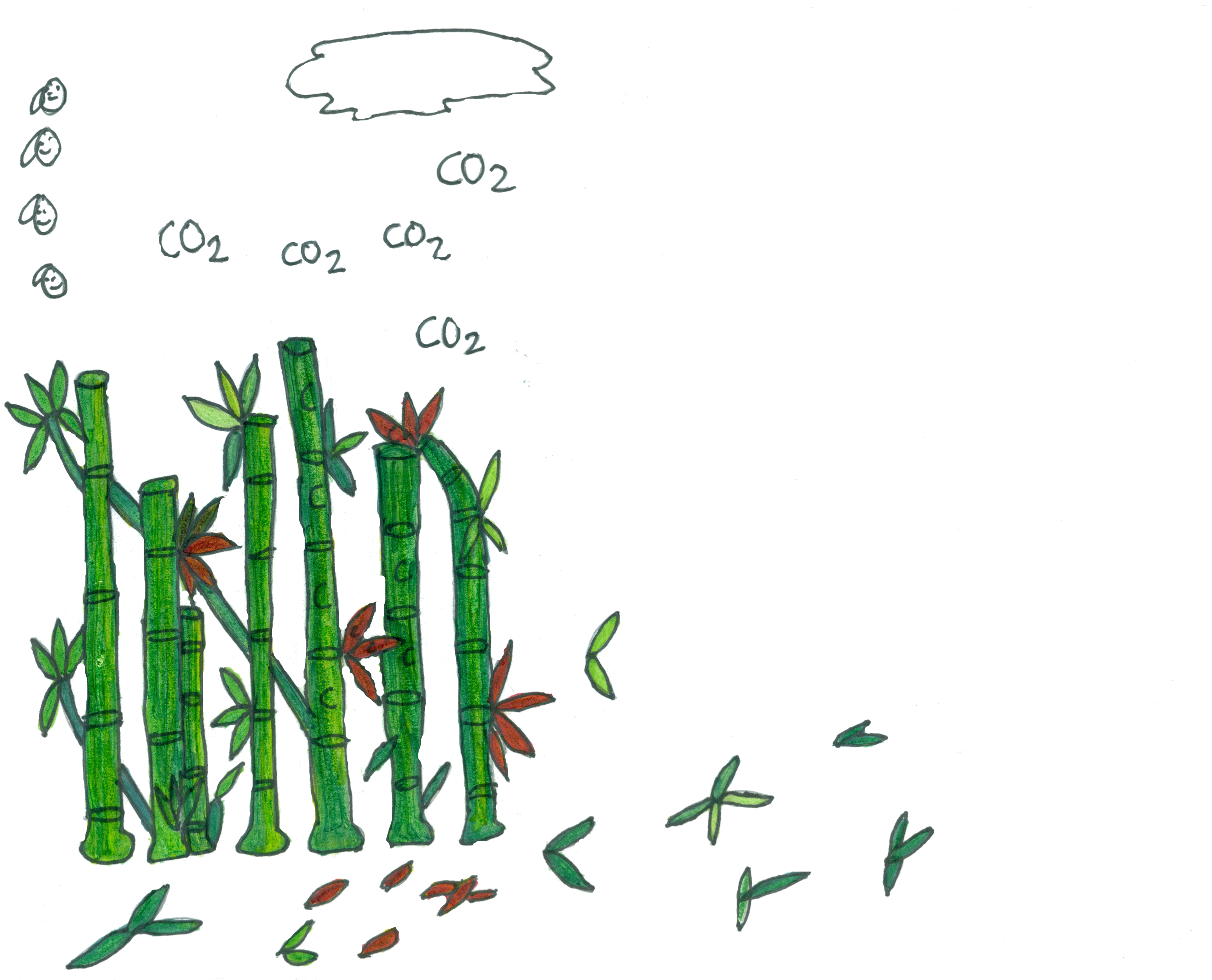 3095x2503 The Carbon Cycle Excursion Somphors