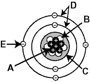307x282 bio molecules, the carbon cycle, biogeochemical cycles