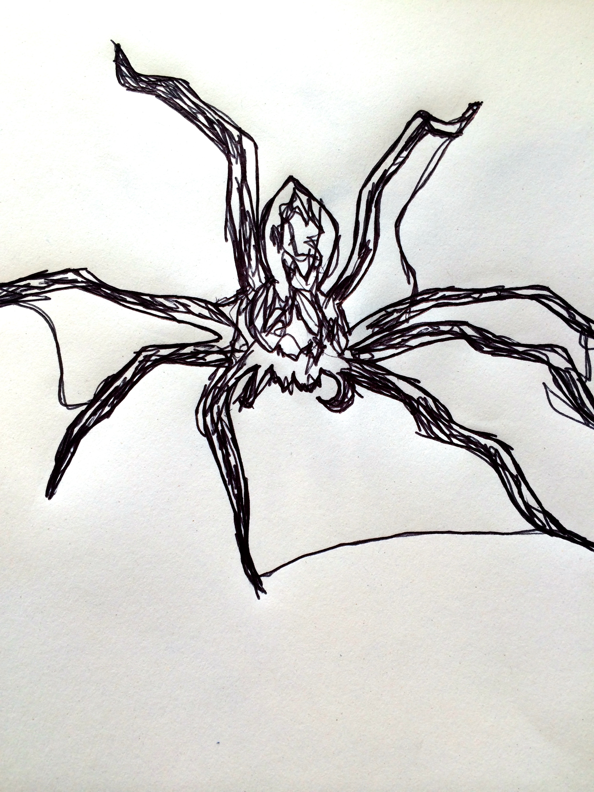 2448x3264 Carbon Copy Drawings Cmsquiggles