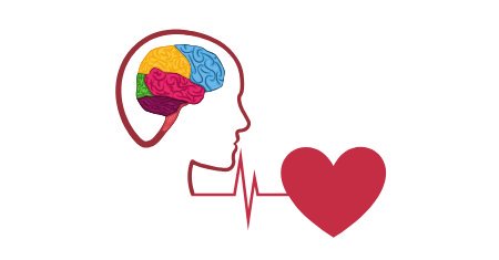 450x235 Jyu Brain Research On Twitter It Can Be Easier To Learn