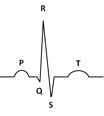 Cardiac Cycle Drawing | Free download on ClipArtMag