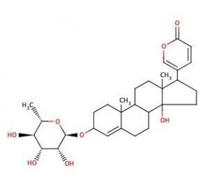 320x275 proscillaridin a cas scbt