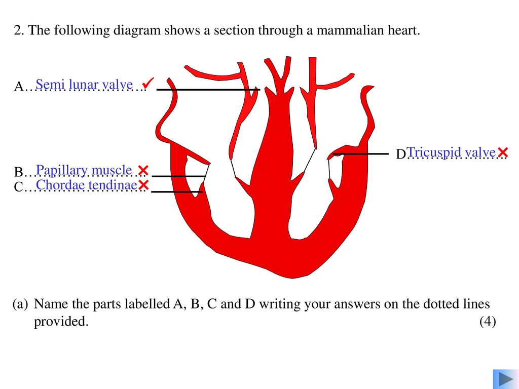 1024x768 Sser Ltd A Popperwell
