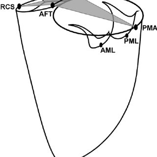 320x320 Time Pattern Of The Cardiac Cycle Download Table