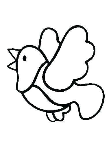 384x512 Cardinal Coloring