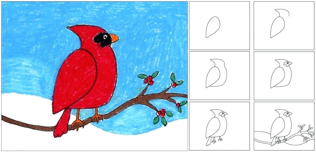 1024x492 Drawing Lesson For Kids How To Draw A Cardinal Architectural