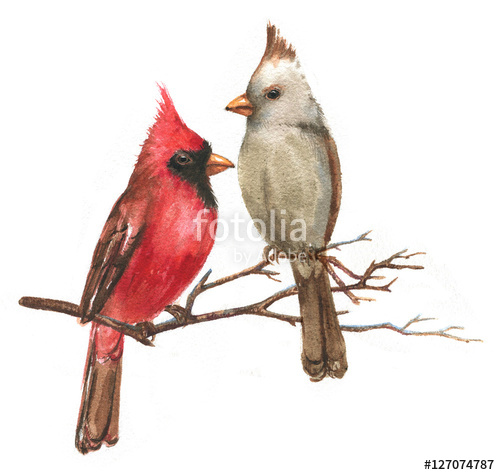 500x475 Hand Drawn Watercolor Illustration