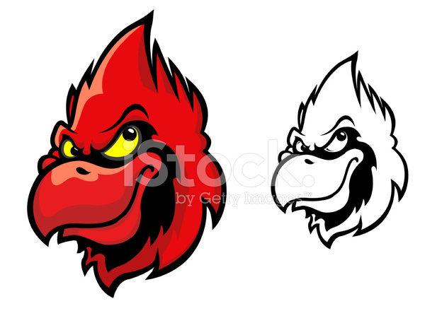617x440 Red Cardinal Bird Stock Vector