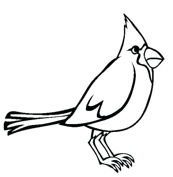 600x612 Coloring Pages Cardinals Bird