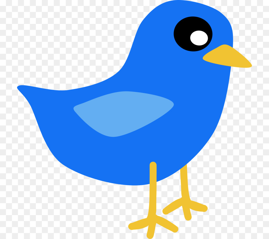 900x800 Bird, Drawing, Duck, Transparent Png Image Clipart Free Download