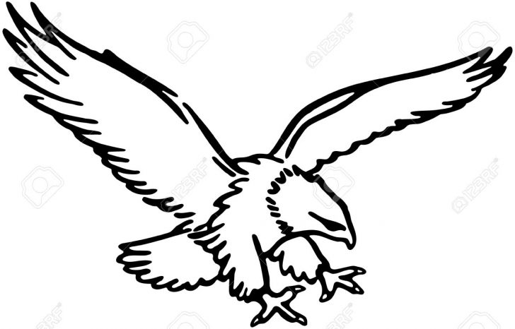 728x466 Cardinal Bird Drawing Images Cute Step Art For Beginners Carmi