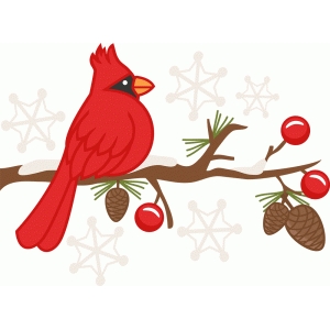 300x300 Cardinal Clipart Branch Drawing