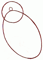 181x250 Exam Guide Online