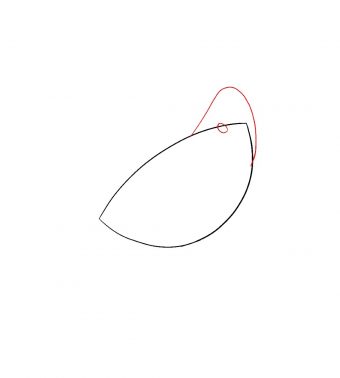 340x378 How To Draw A Cardinal