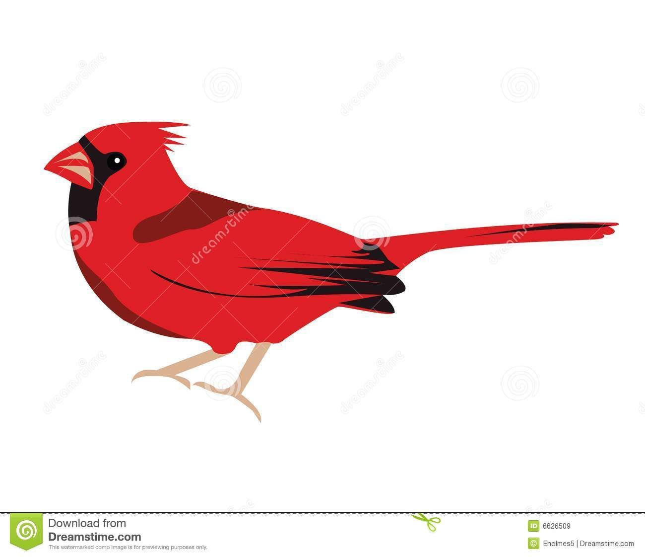 1300x1121 Northern Cardinal Drawing At Getdrawings Com Free For Personal Use