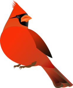 249x299 Red Cardinal Clip Art