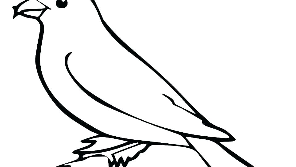 960x544 Cardinal Clip Art