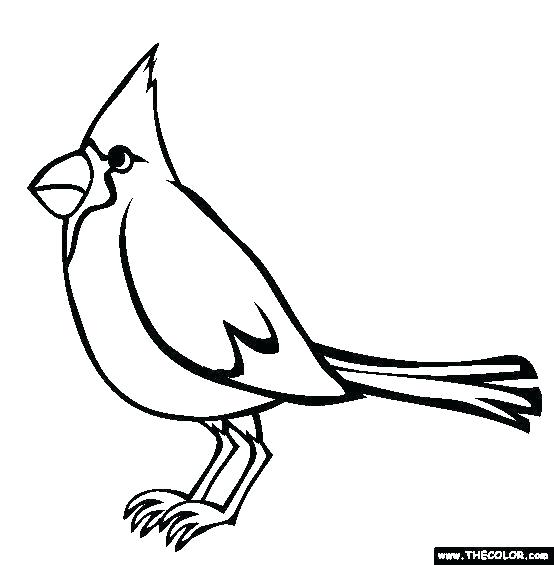 554x565 Cardinal Coloring Pages St Louis Cardinals Free Coloring Pages