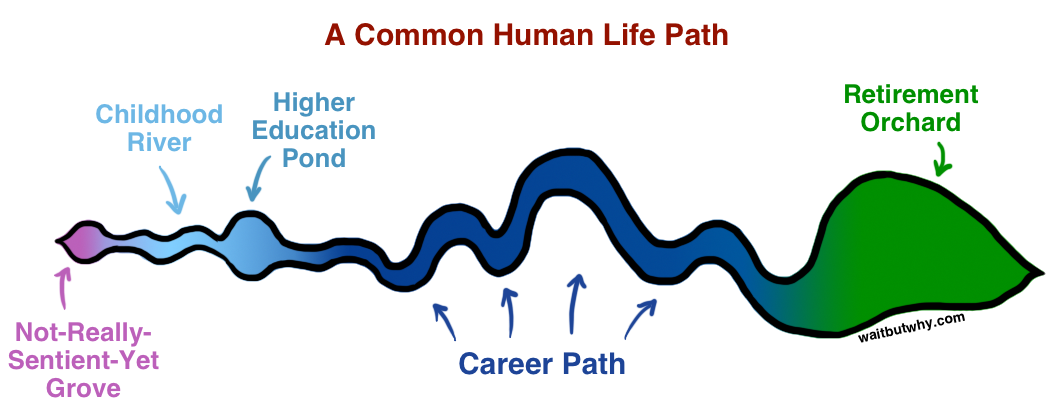 1064x416 How To Pick A Career