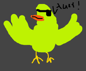 300x250 Parrots Of The Caribbean