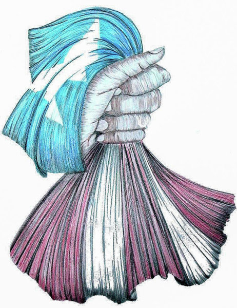 462x600 puerto rico drawings fine art america