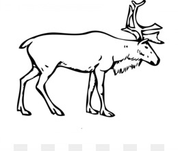 260x220 Caribou Png