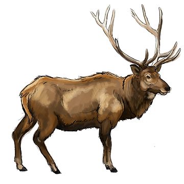 360x360 Caribou Sticker
