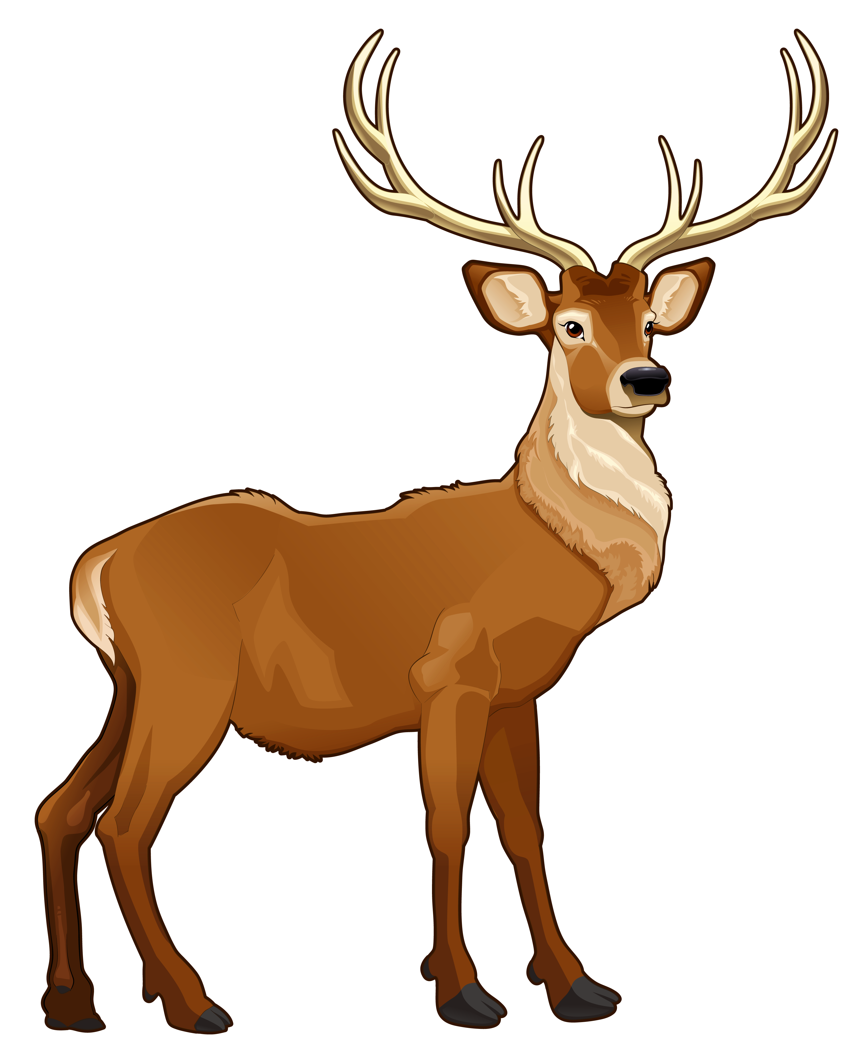 3438x4168 Collection Of Free Elk Drawing Realistic Download On Ui Ex