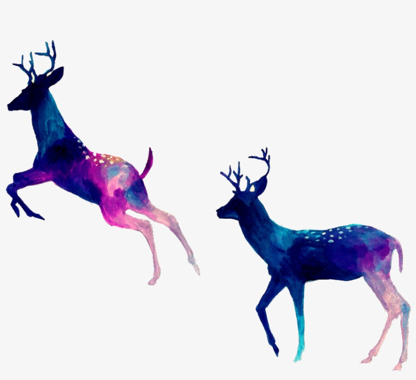 820x749 Drawing Antlers Caribou Antler